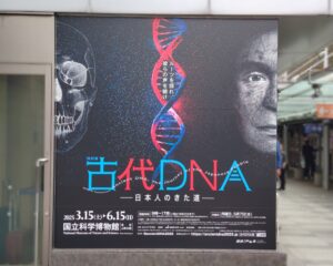 ニュースレター１８５号写真