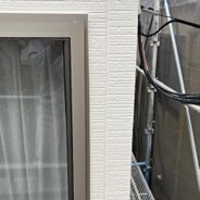 ニュースレター１８６号写真３