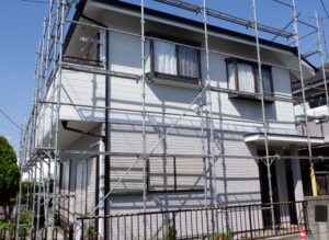 地域限定号　色選び４